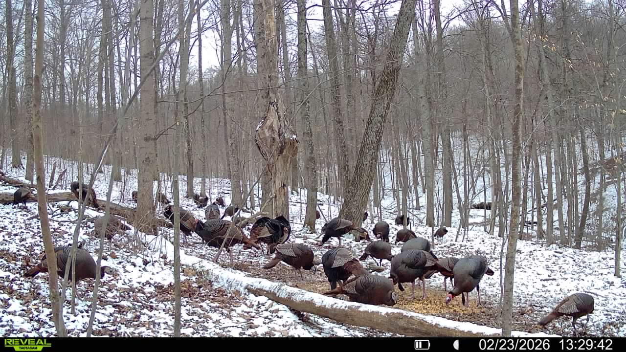 016579007609204 49 3 02232026132942 syfw03258