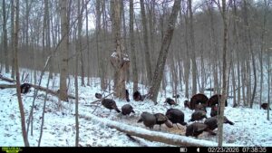 016579007609204 50 3 02232026073835 syfw03189