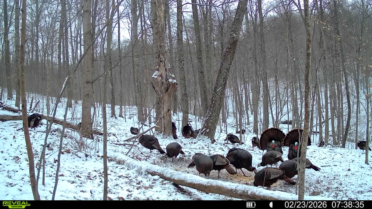 016579007609204 50 3 02232026073835 syfw03189