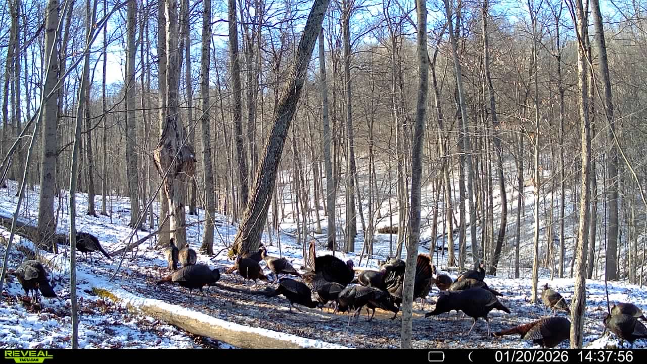 016579007609204 6 3 01202026143756 syfw01826