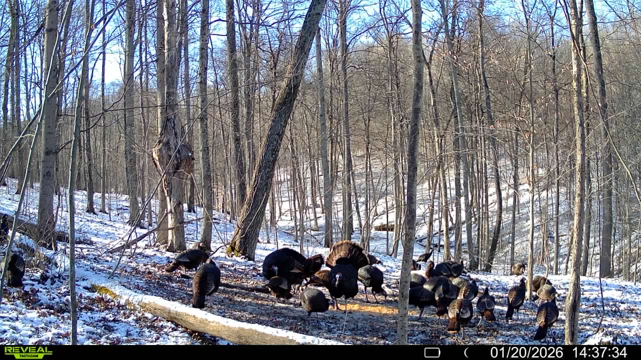 016579007609204 8 3 01202026143734 syfw01824