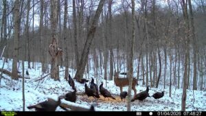 016579007609204 80 3 01042026074827 syfw00670