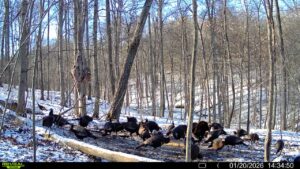 016579007609204 9 3 01202026143450 syfw01811