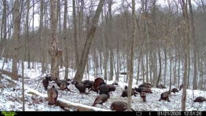 016579007609204 9 3 01212026125126 syfw02015