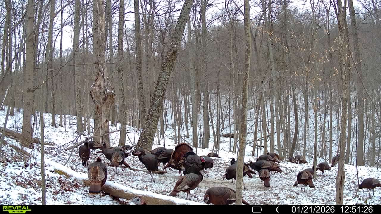 016579007609204 9 3 01212026125126 syfw02015