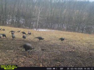 863900044811054 100 4 02162026140516 w1013270