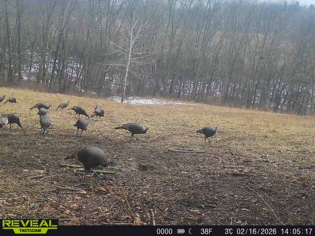 863900044811054 100 4 02162026140516 w1013270