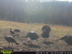 863900044811054 90 3 02212026101840 w1014356