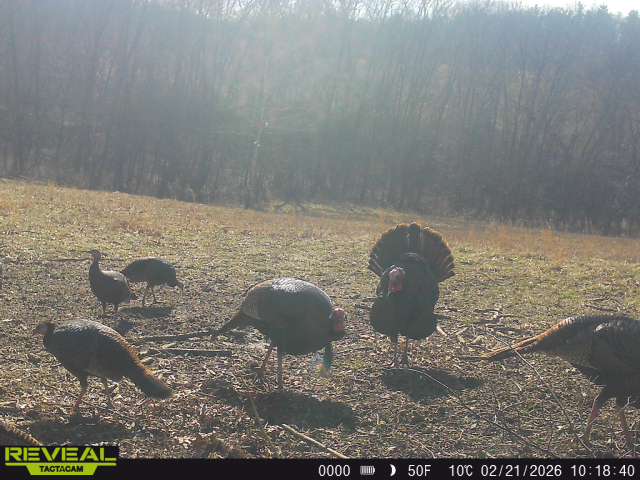 863900044811054 90 3 02212026101840 w1014356